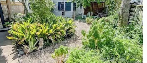 Una casa con jardín, una estructura de paja y un árbol alto.