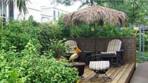 A wooden deck with two chairs and a table, surrounded by lush greenery and a thatched roof structure. - Sealy Suites D  Historic East End - Walk to Beach, UTMB & Strand  (Galveston)