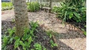 A garden with a tree, various plants, and a decorative fence. - Sealy Suites D  Historic East End - Walk to Beach, UTMB & Strand  (Galveston)