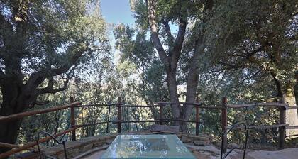 House in the woods with swimming pool.