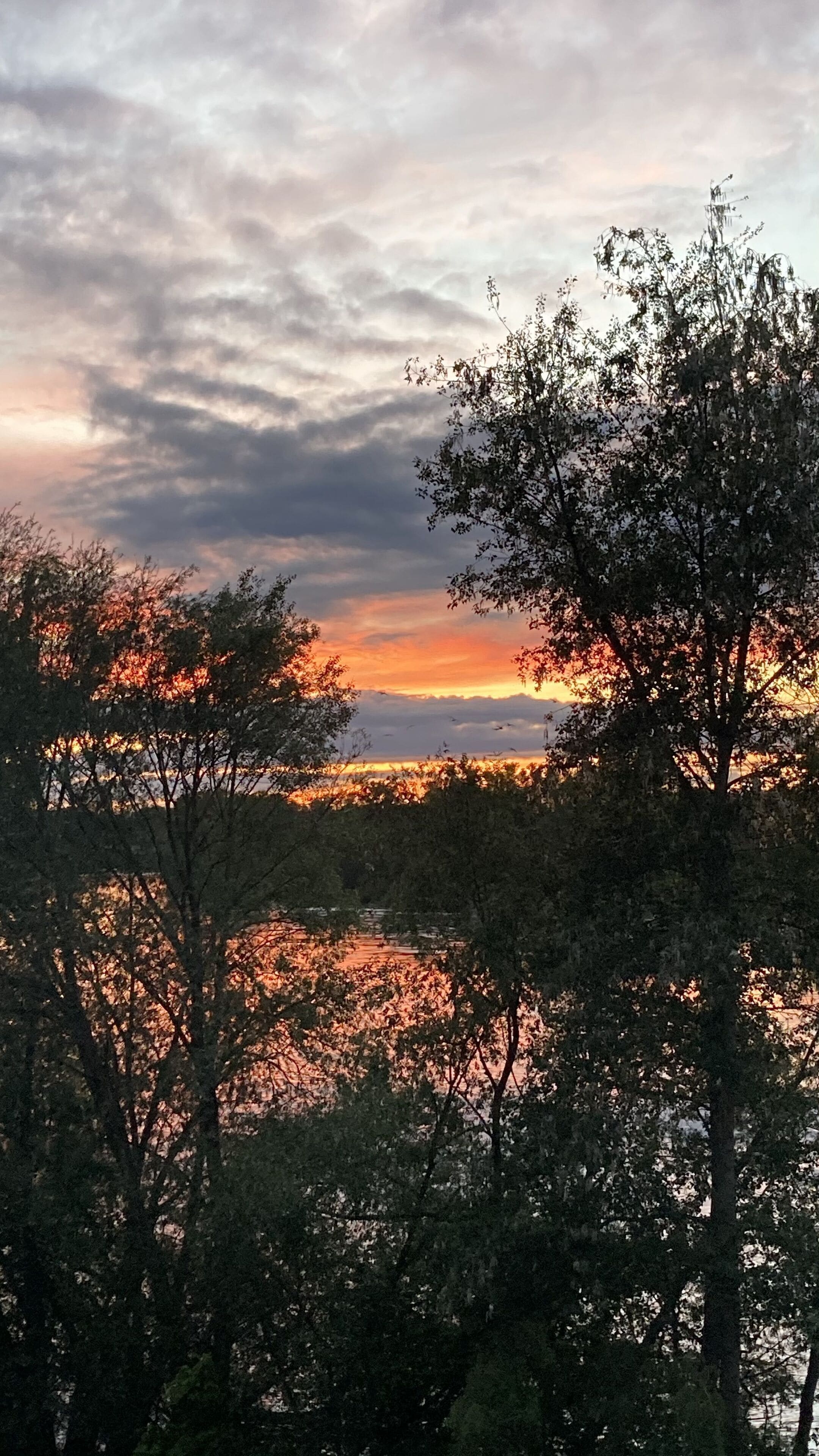 Un paysage naturel composé d’arbres et d’une étendue d’eau qui reflète le ciel.