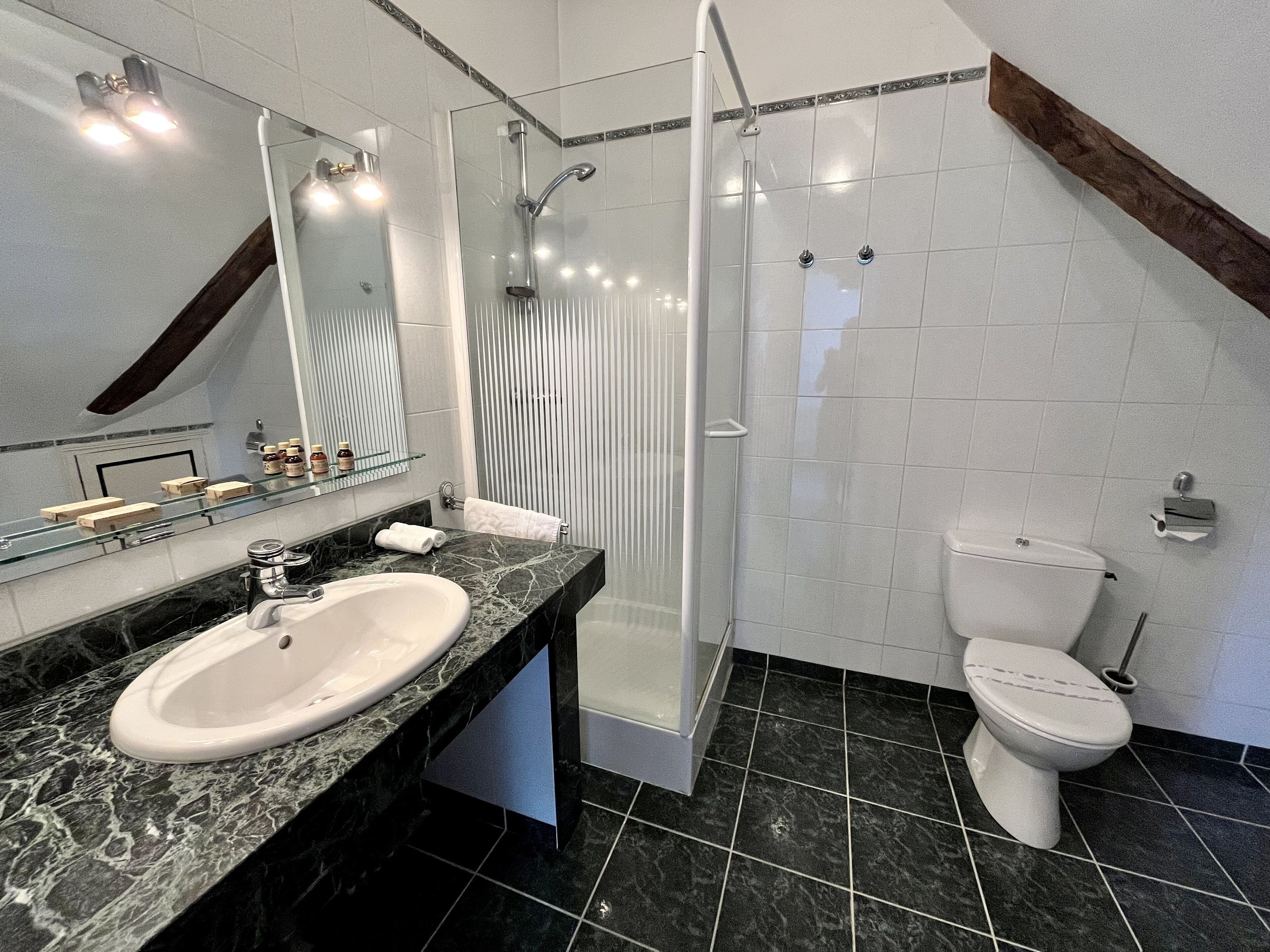 A modern bathroom with a glass-enclosed shower, a white sink, and a toilet.