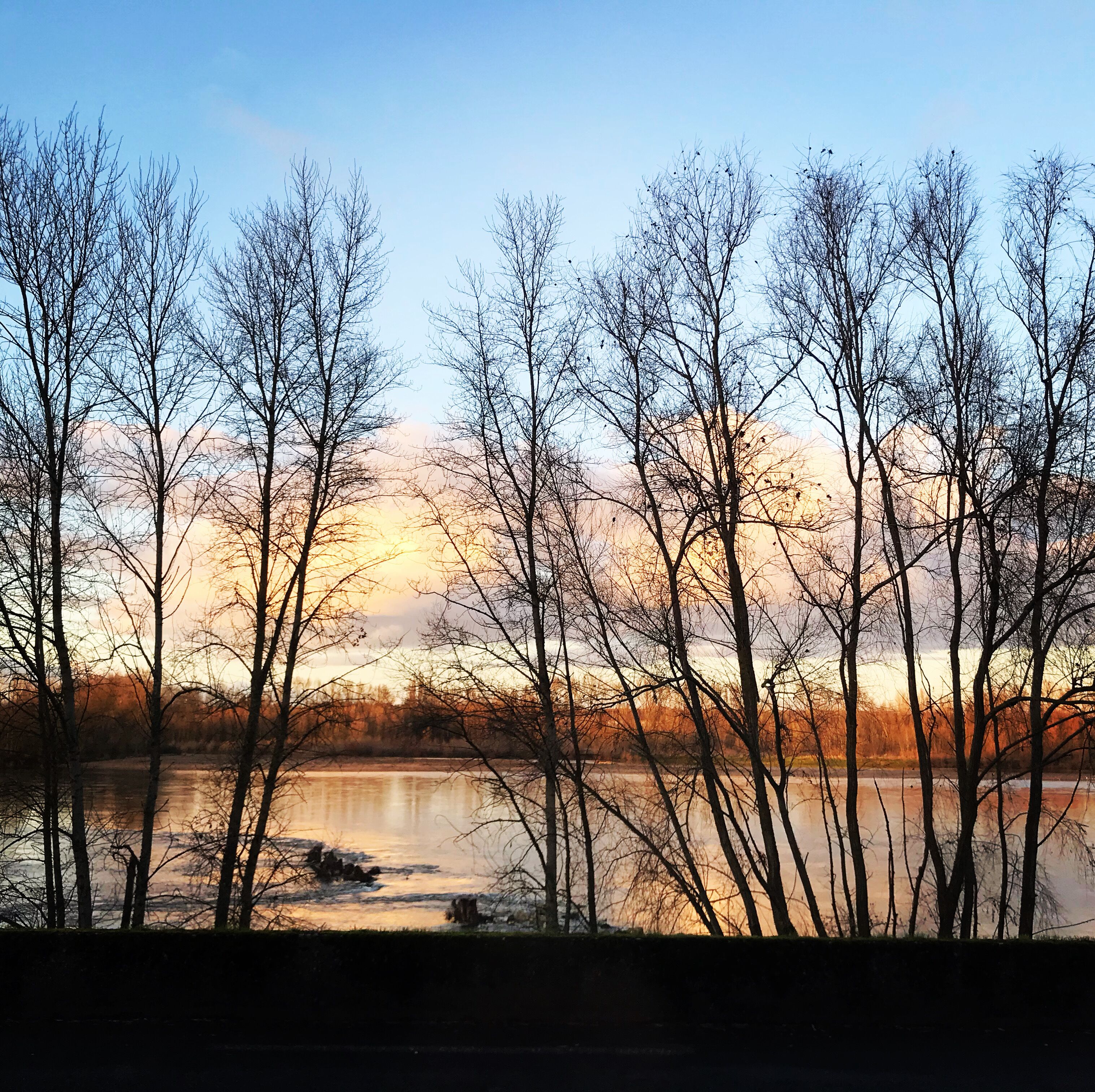 Une vue d’un lac, avec des arbres au premier plan et un coucher de soleil en arrière-plan.