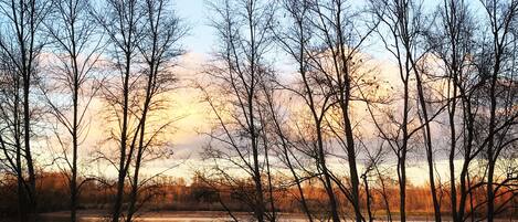 A view of a lake with trees in the foreground and a sunset in the background.