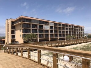 Condo, 1 Bedroom | Exterior - Sea Life - Oceanfront! Pleasure Island Paradise! Lose Yourself In The Ocean Views! 1 Bedroom Condo by RedAwning (Carolina Beach)