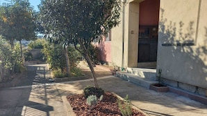 Un'area giardino curata con pacciamatura, arbusti e un albero di fronte a un edificio.