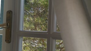 A window with a view of dense greenery outside. - Sausan Apartments (Corfu)