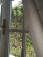Una ventana con vista a abundante vegetación.