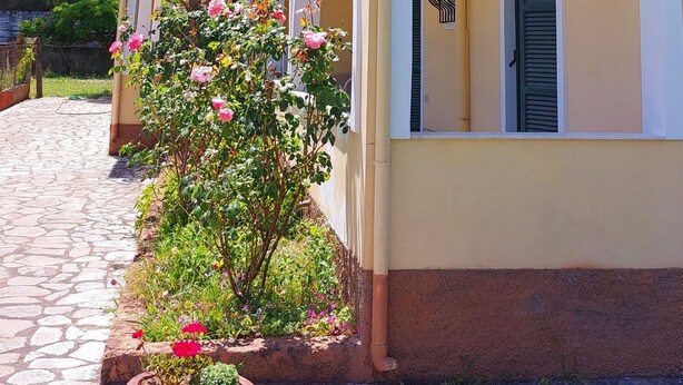 A building with multiple arches, a tiled pathway, and a flower bed with pink flowers. - Sausan Apartments (Corfu)