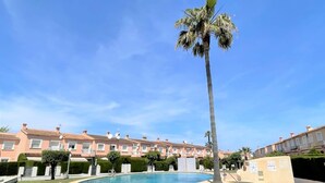 A swimming pool surrounded by a well-maintained lawn, with a tall palm tree in the center and a row of terracotta-roofed buildings in the background. - T-0621, Campo Olivar, townhouse in Campo Olivar, Els Poblets (els poblets)