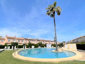 A swimming pool surrounded by a well-maintained lawn, with a tall palm tree in the center and a row of terracotta-roofed buildings in the background.