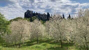 Áreas de la propiedad