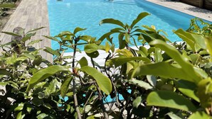 Ein Haus mit Swimmingpool, überdachter Terrasse und Garten.