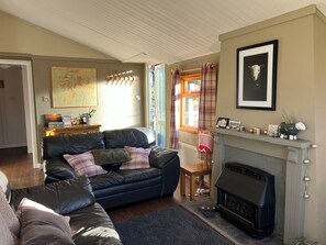 تلفزيون ذكي، مدفأة، ألعاب فيديو، مشغل دي في دي