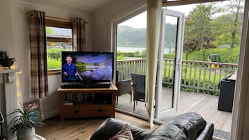 Smart TV, fireplace, video games, DVD player