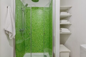 Shower, hair dryer, towels