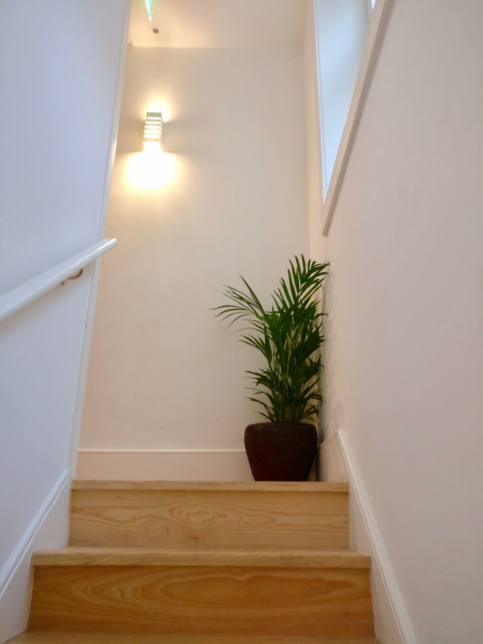 A staircase with wooden steps and white walls.