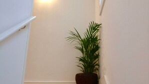 Eine Treppe mit Holzbodenstufen und weißen Wänden.