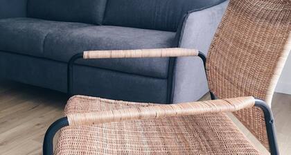 Loft con Terraza 3.2