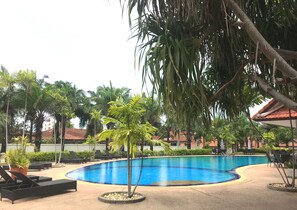 Una piscina rodeada de palmeras y sillas de descanso.