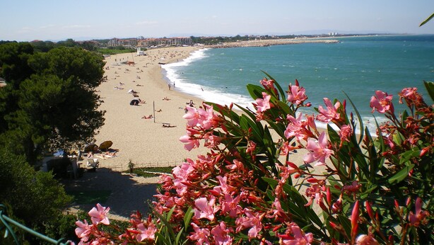 A beach with people sunbathing and swimming, surrounded by greenery and overlooking the sea.