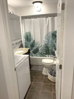 Combined shower/bathtub, hair dryer, towels, soap - Modern downtown apartment near restaurants/bars (Fredericton)