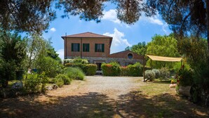 Exterior - NESPOLO - IL VECCHIO MULINO TOSCANA (Radicondoli)