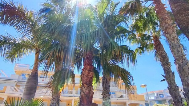 A hotel with multiple floors, palm trees, and a clear sky. - Apartament Playa Sol by DENIA COSTA (Denia)