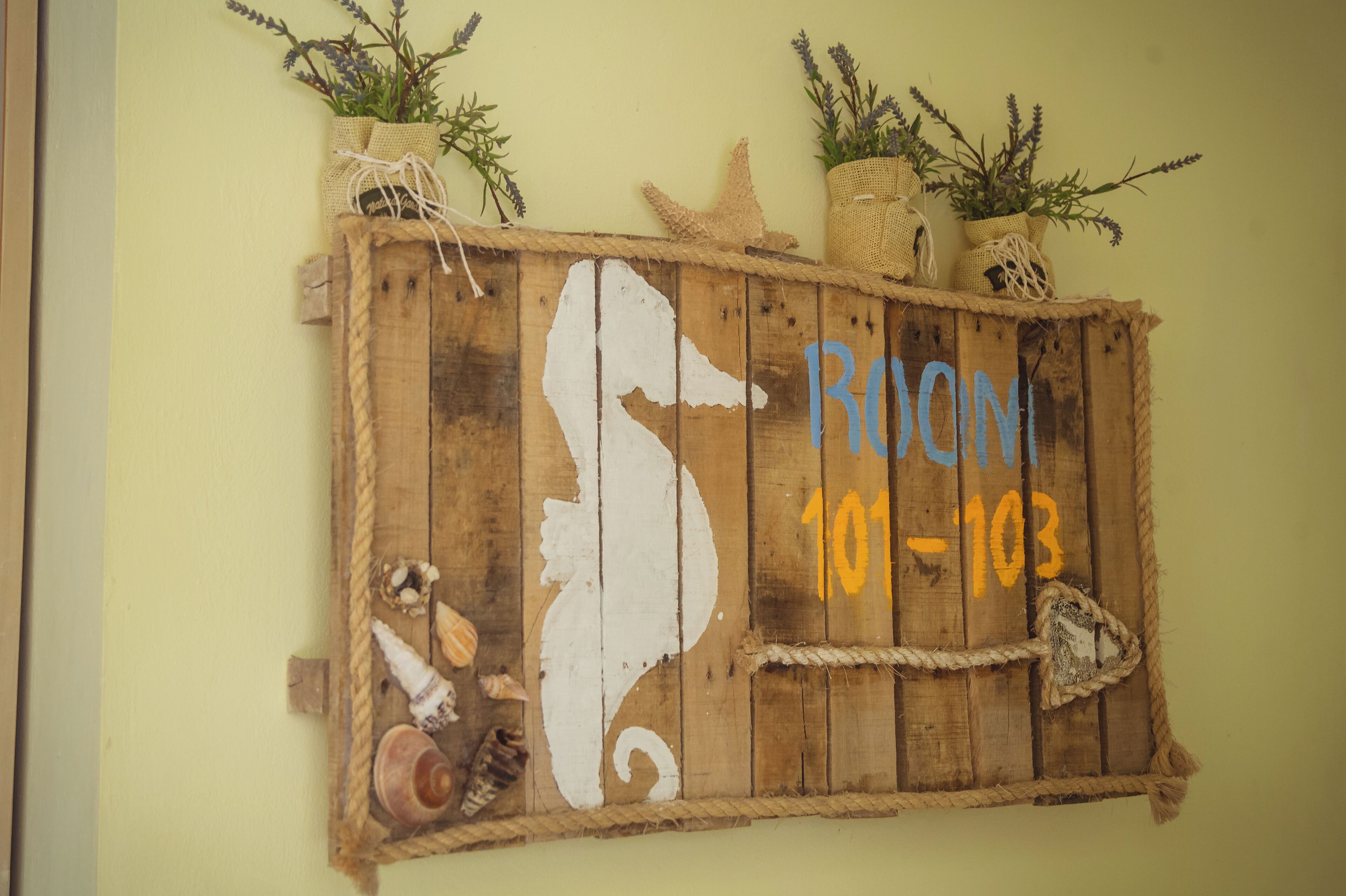 Foto - Bella Vida Hotel Punta Cana