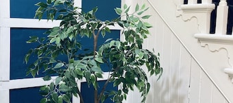 Abbeyfield Guesthouse