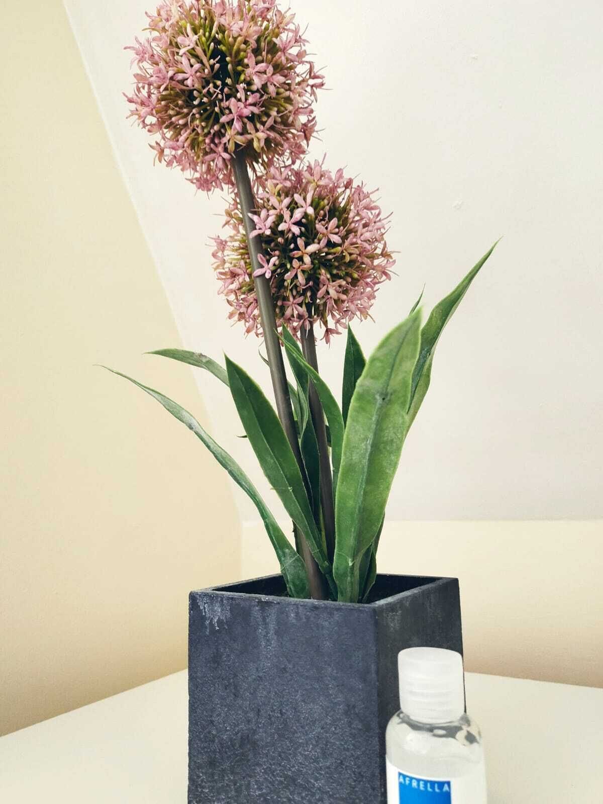 Foto - Abbeyfield Guesthouse