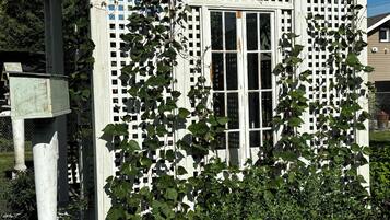 Detalle exterior