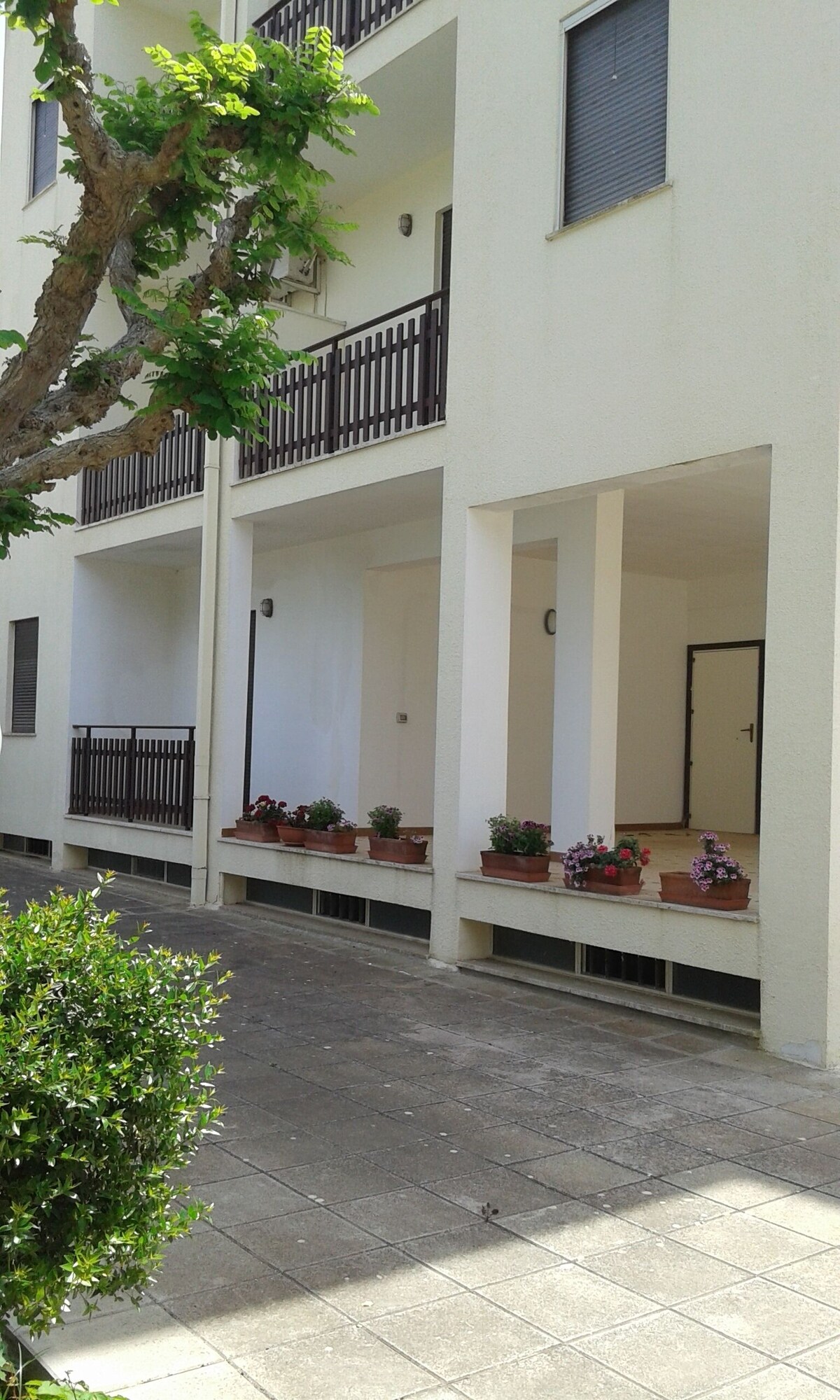 Imagen de perfil del propietario o de la propietaria