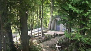 A forested area with a gravel path leading to a building with a blue door. - Lake Eugenia Autumn Escape - Private Dock, Hot tub and Firepit (Flesherton)