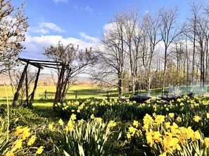 Un parque con un pérgola de madera, zonas verdes abiertas y narcisos amarillos.