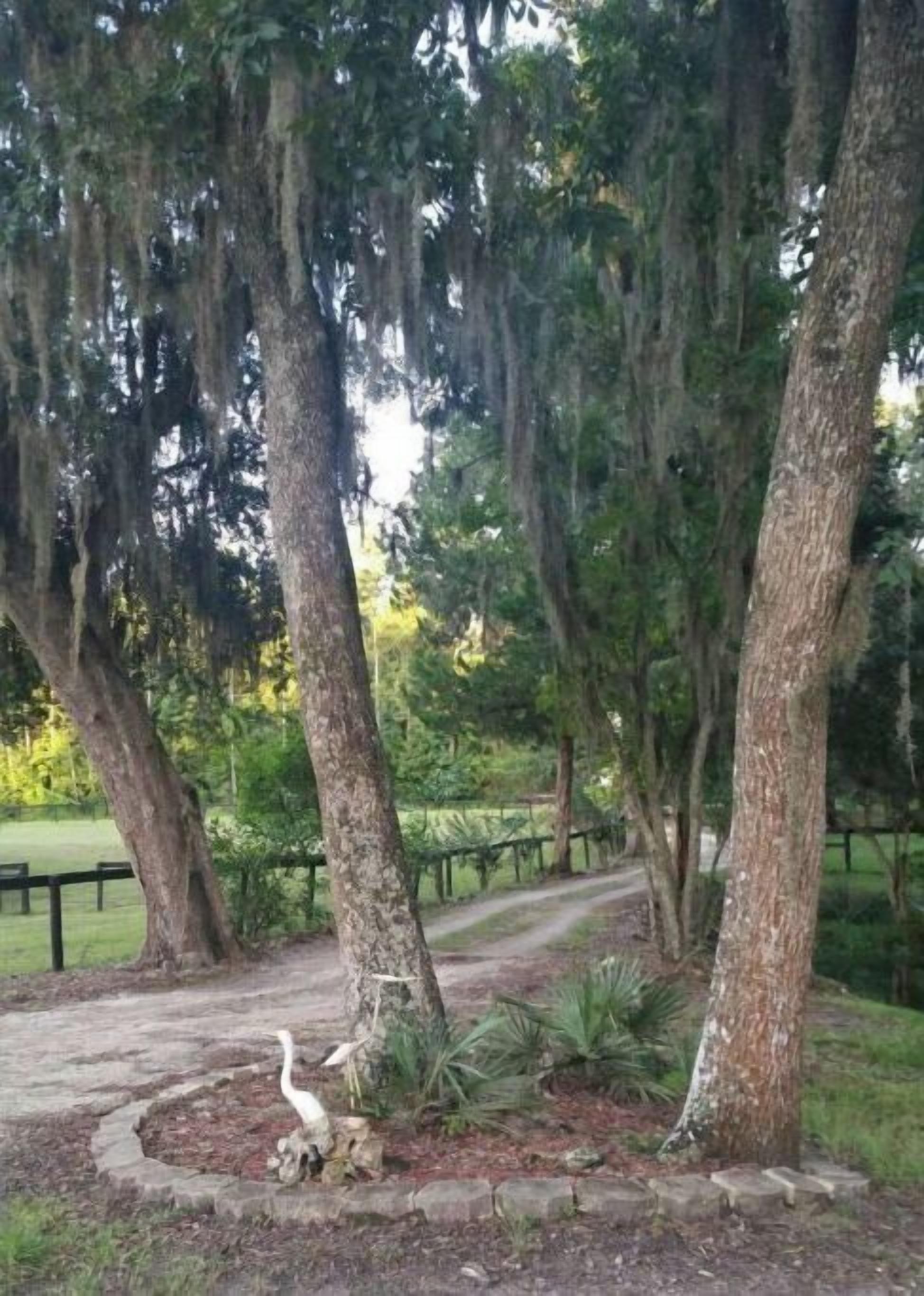 المنطقة المحيطة بالمنشأة