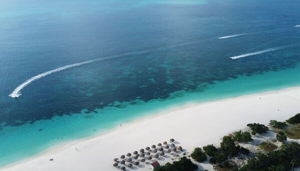 Plage, chaises longues, serviettes de plage