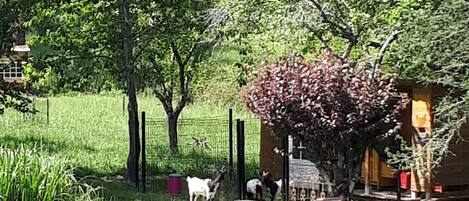 Enceinte de lâhĂ©bergement