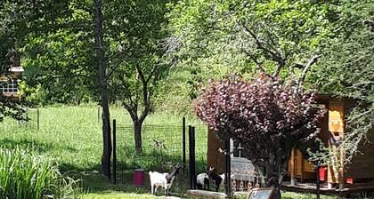 Gite mitoyen en pierre sur propriété avec étang, cadre bucolique