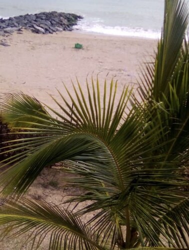 Magnificent waterfront villa with sea view