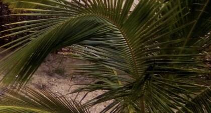 Magnificent waterfront villa with sea view