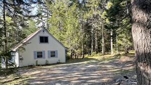 A small, single-story cabin with a sloped roof, surrounded by a forested area with tall trees. - Into the Woods (Southwest Harbor)