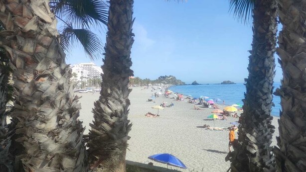 Una playa con palmeras, sombrillas y gente relajándose.