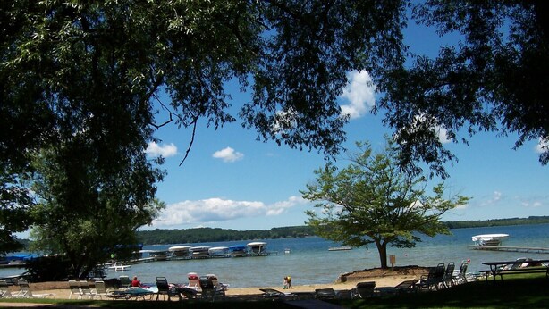 A lakeside picnic area with tables and chairs, a dock with boats, and a tree providing shade.