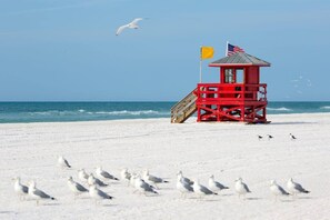 Beach - Siesta Key FL: Heated Pool, Beaches, Family Fun (Sarasota)