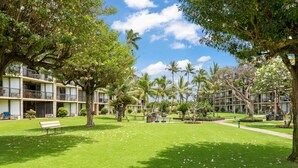 A hotel courtyard with a grassy lawn, trees, and a bench. - Maui Sunset A303 - Great large 1 bedroom close to ocean (Kihei)
