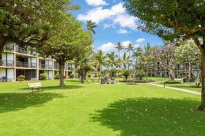 Property grounds - Maui Sunset A303 - Great large 1 bedroom close to ocean (Kihei)