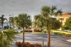 A parking lot with palm trees and a building in the background.