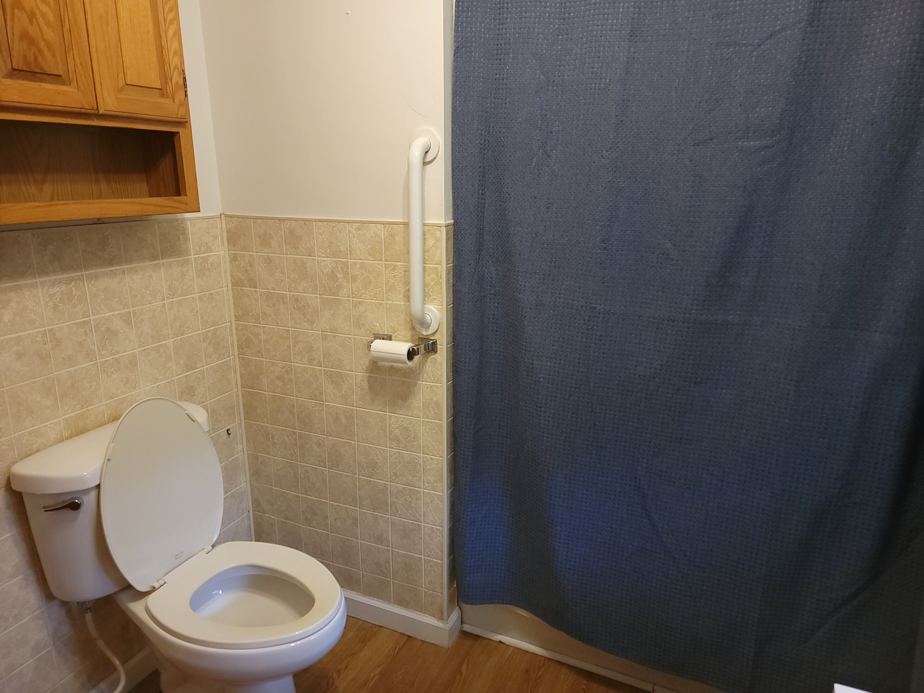 Une salle de bain avec des toilettes, un rideau de douche et un meuble en bois.