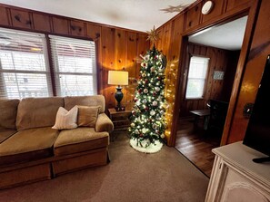 تلفزيون ذكي، ألعاب فيديو، مشغل دي في دي، كُتُب